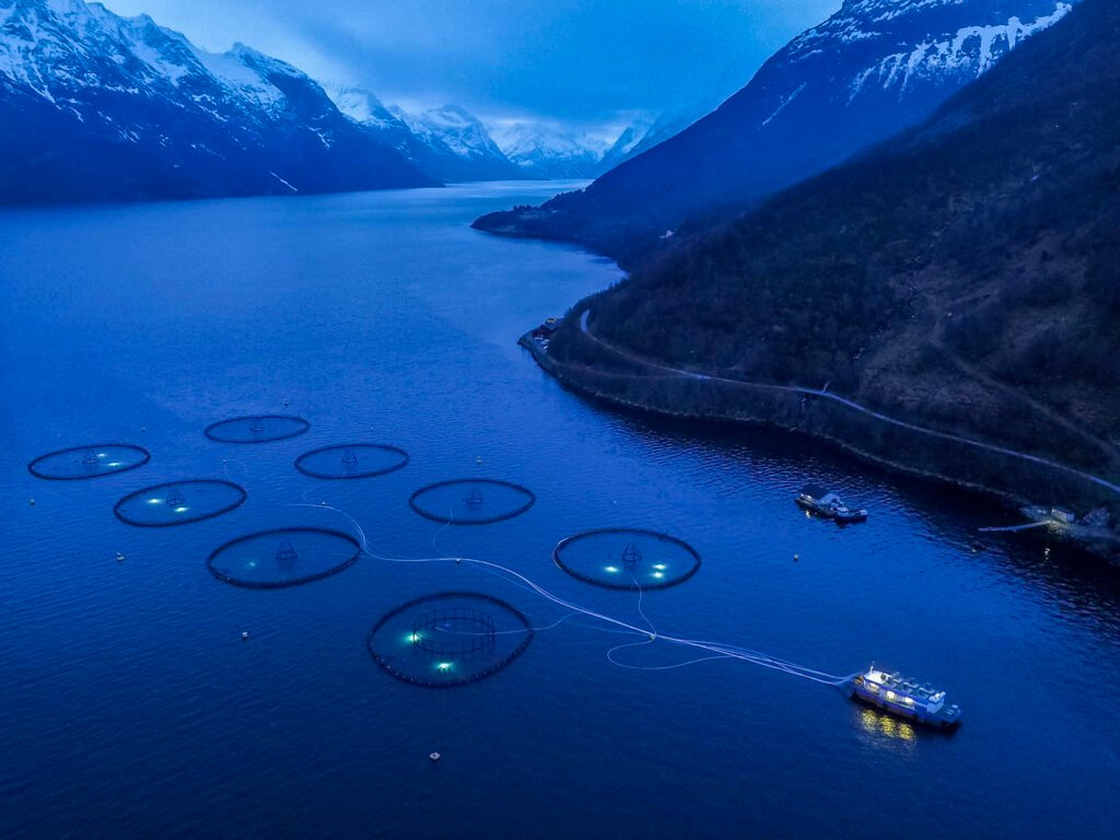 芸術写真 Pictures from the Surface of the Earth 芸術写真 Pictures from the Surface of the Earth 芸術写真